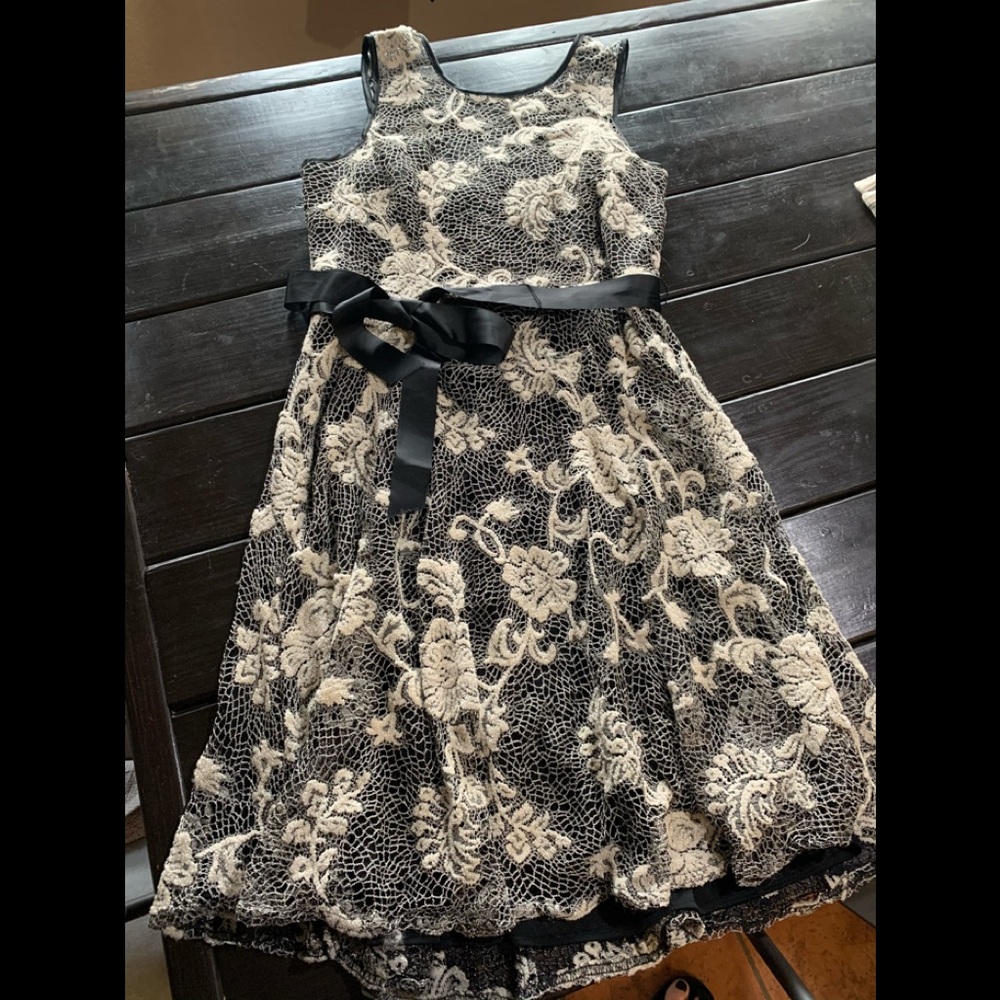 Dressbarn collection lace dress Sz 16